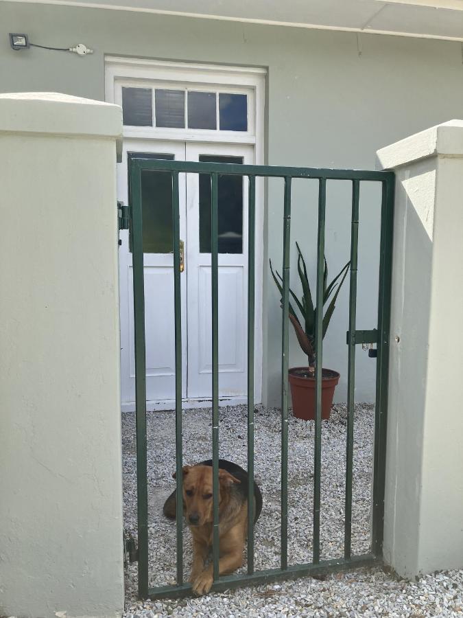 Aloe Cottage - 2 Bedroom Stanford Kültér fotó
